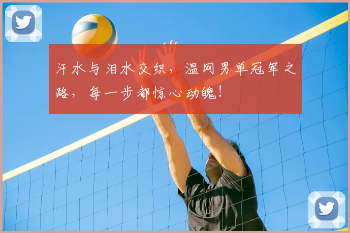 汗水与泪水交织，温网男单冠军之路，每一步都惊心动魄！